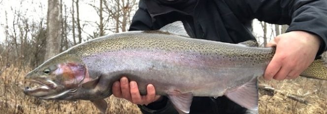 Winter Lies The Answer!