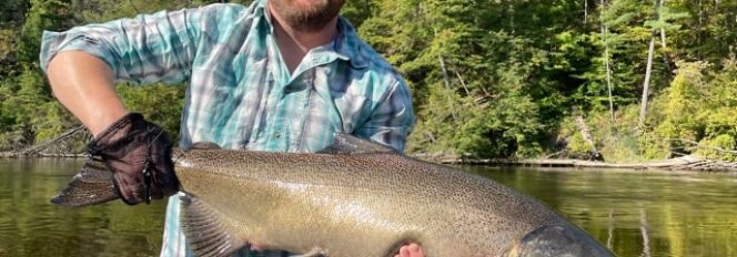 Back-N-Black Back-N-Kings!