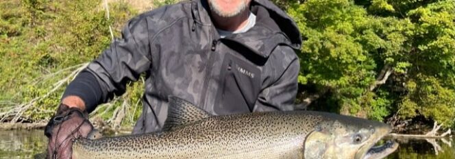 Crystal Chrome King!