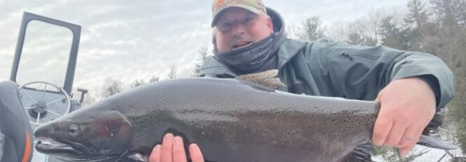 Think Spring. Spring Steelhead!