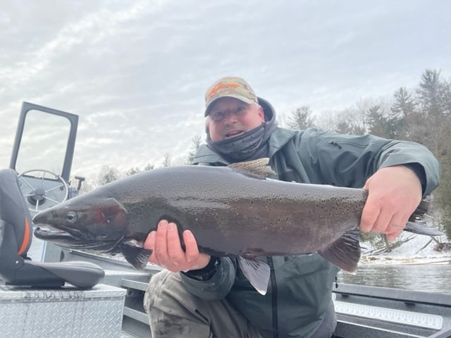 Think Spring. Spring Steelhead!
