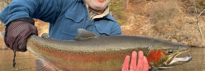 Spring Steelhead On The Run!