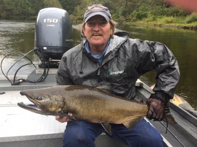 King Salmon On Swung Flies!