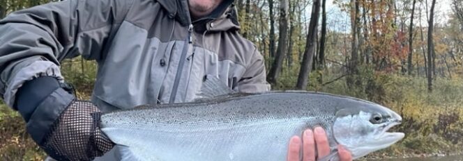 Wind Rain Cold & Chrome!