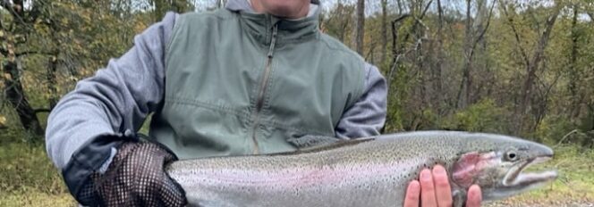 Sweet Fall Steelhead!