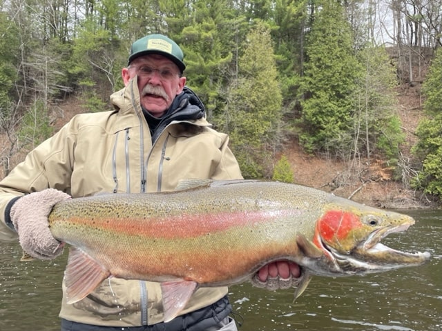 Steelhead Dreams!