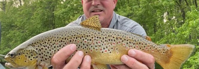 Complete Your Drift With Dry Flies For Trout!