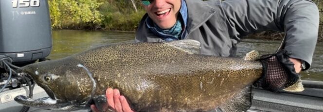 Don’t Mess With The Bull!