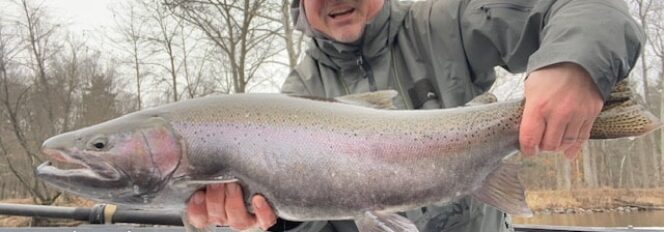January & February Produce Some Of The Largest Steelhead Of The Year On The Muskegon River!