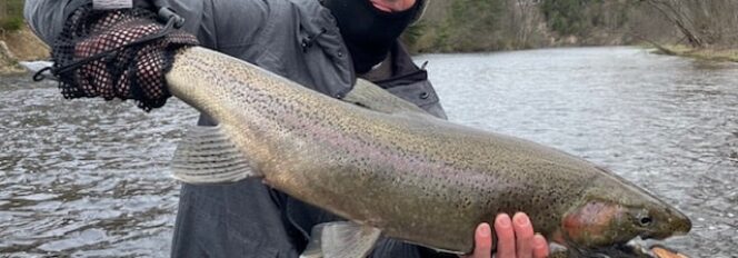 Quest For Chrome At The End Of The 23″ Rainbow!