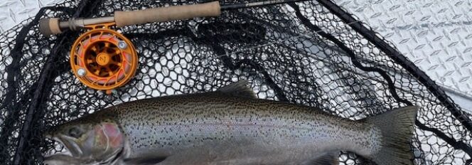 Spring Steelhead On The Run!