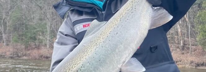 Sweet Spring Chrome Steel!