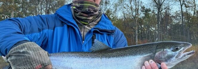 Nothing Like Your First Fall Steelhead!