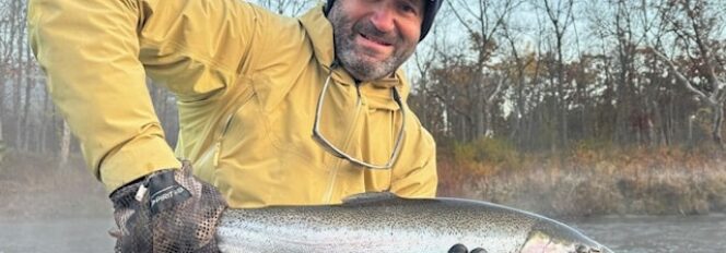 It’s Getting Better Every Day!