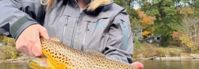 Muskegon River Brown Trout!