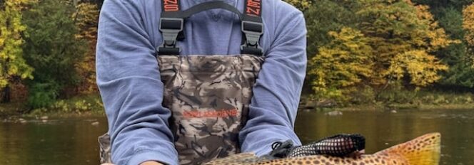 Ahh…Those Beautiful Brown Fall Colors!