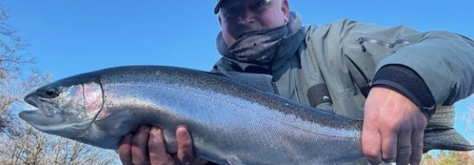 Forgot How Much Fun Fall Steelhead Fishing Is!
