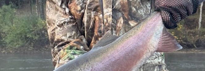 It’s Never About How Many It’s All About “The 1!”