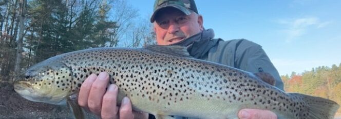 Bad To The Lake Run Brown!