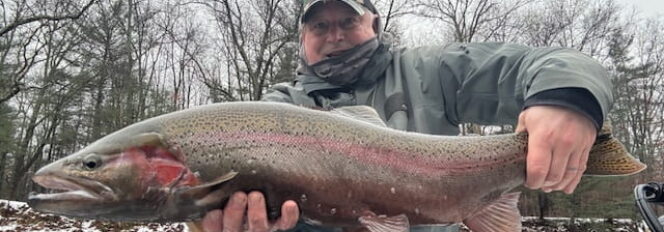 The Mighty MO / Muskegon River Flexes Its Steelhead Muscle Again!
