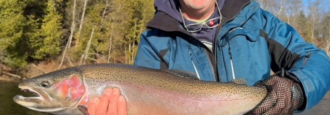 Start Of Spring Steelhead Run Is In The Air!