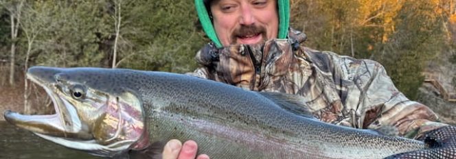 Feel The Steel Heat!