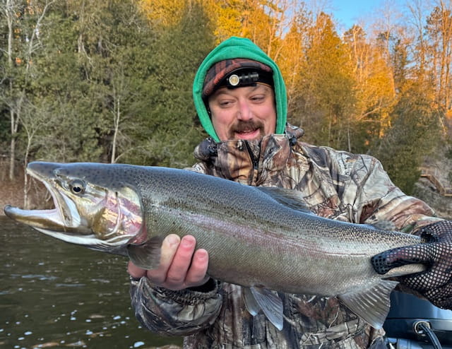 Feel The Steel Heat!