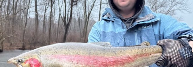 The Boyz From Minnesota!