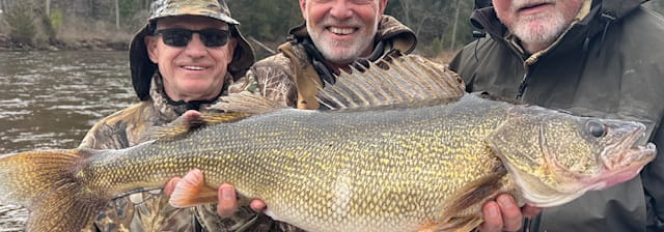 Ever Seen A 15 Pound Muskegon River Walleye Before?