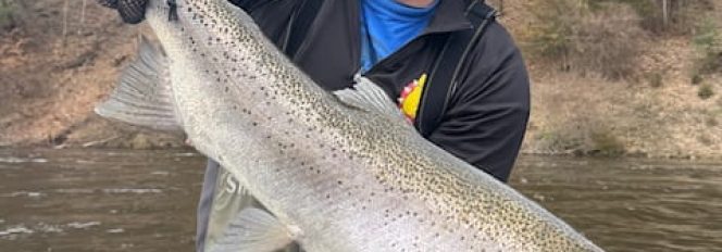 Gonna Need A Bigger Net!