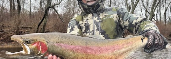 The Calm Before The Storm!