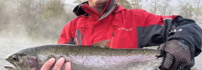 Muskegon River Fall Steelhead!