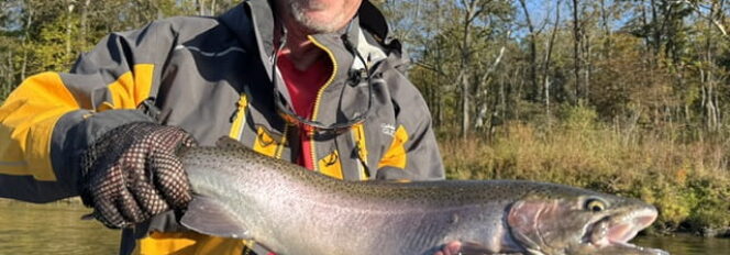 Quest For Fall Chrome!