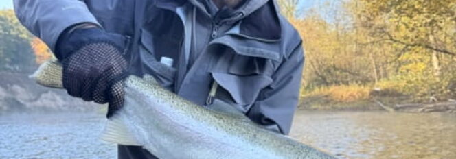 Muskegon River Silver Bullet!