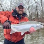 Drew with a crystal chrome steelhead Drew with a crystal Chrome Steelhead